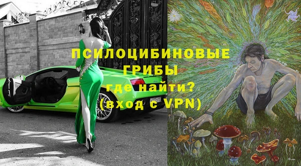 эйфоретик Новокубанск