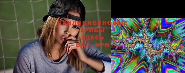 гидропоника Новозыбков