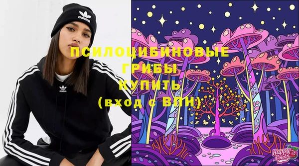 эйфоретик Новокубанск